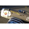 Flugzeug P-47 B 50 Größe EP-GP „Touch of Texas“-Version mit Bombe - ARF - VQ-Models